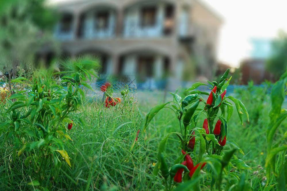 Cunda Deniz Hotel Ayvalı Exterior foto